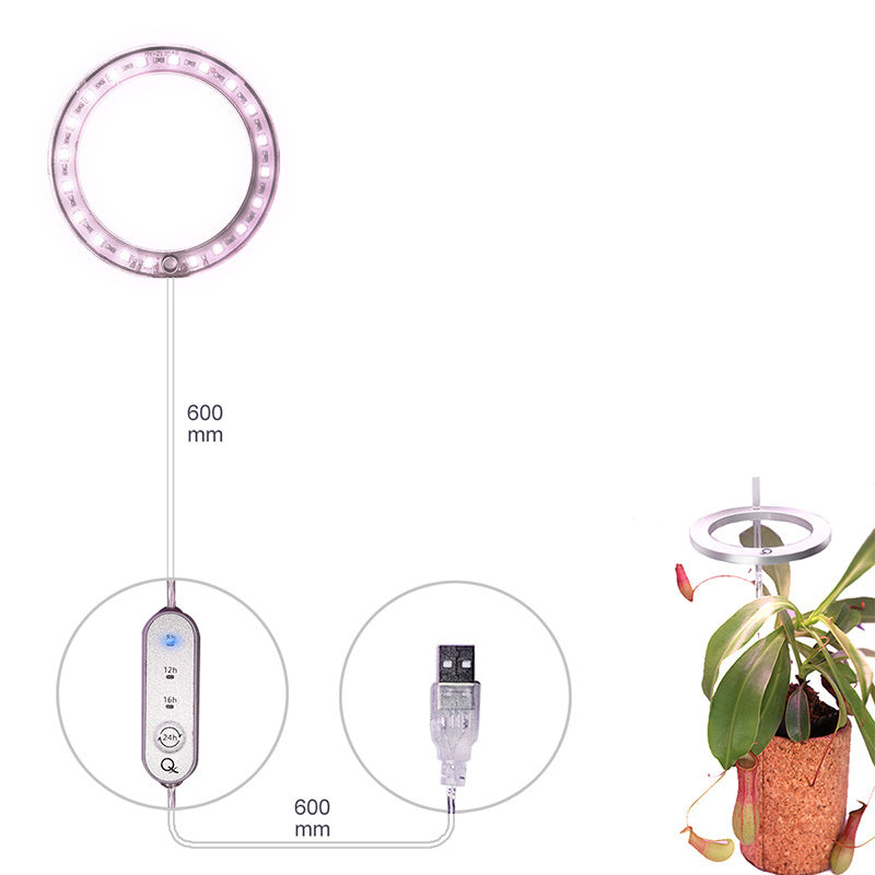 LED Grow Light Full Spectrum Angel Ring Phyto Grow Lamp USB Phytolamp For Plants 5V Lamp Indoor Flower Greenhouse Plant Seedling