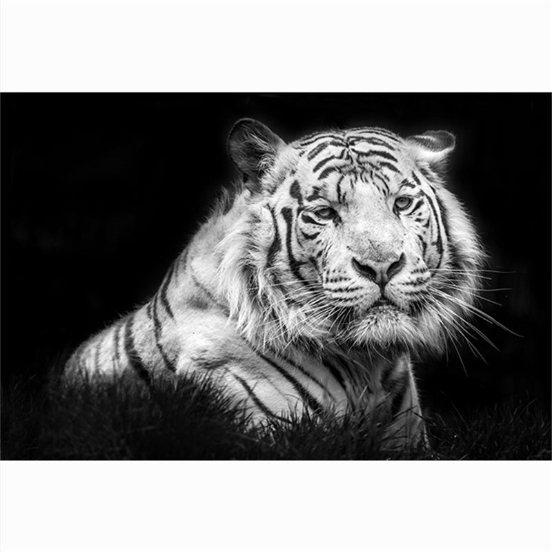 Modern Animal Canvas Painting Tiger Head Black And White Posters