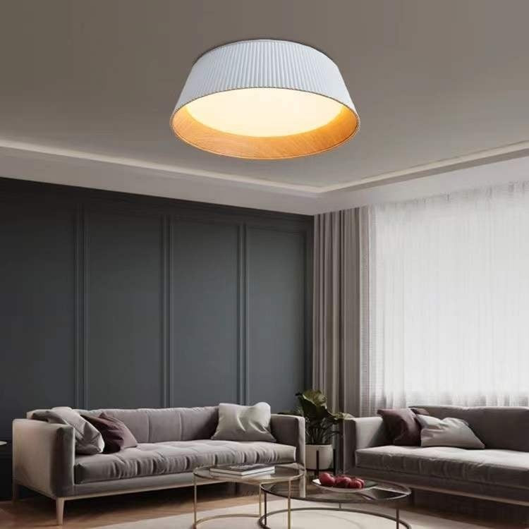 Full Spectrum Ceiling Lamp Italian Minimalistic Personalized Bedroom Light